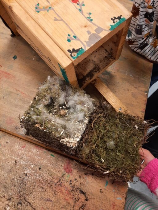 Schulgarten Vogelnest Garten AG Schulgarten Vogelnest Garten AG