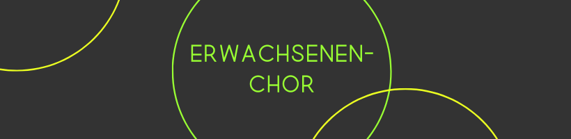 Erwachsenchor an der Schule an den Teichwiesen