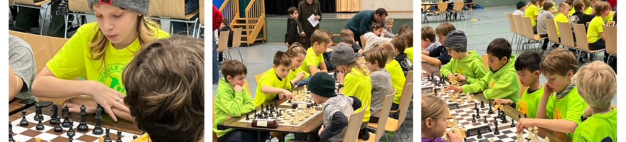 Eulen-Schach-Cup